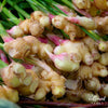 Organic Fresh Ginger, 100g