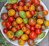 Organic Cherry Tomatoes by Carya, 100g