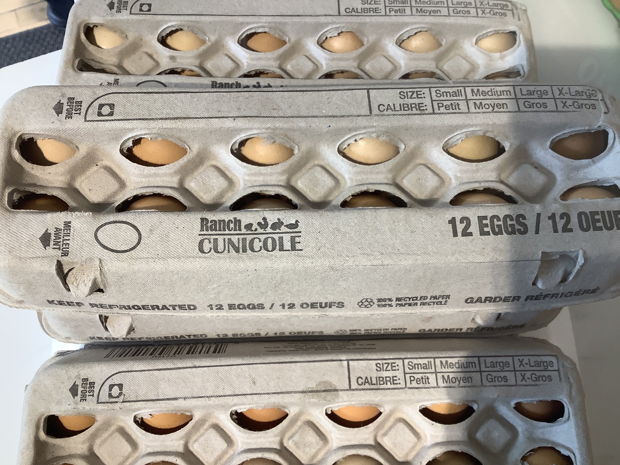 Pasture Raised Eggs