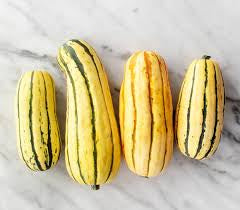 Squash - Delicata by Carya