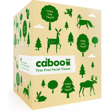 Bamboo Facial Tissues by Caboo, 1 box