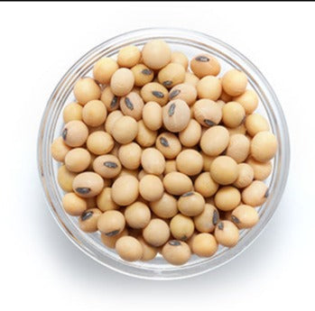 Fèves de soja bio (vrac)