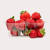 Organic Strawberries | Fraises Bio