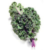 Kale - Organic Red, 1