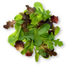 Spring Mix | Melange Printanier | 150g