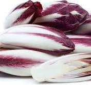 Endive - Red, 1