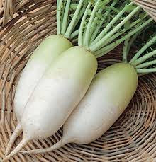 Radishes - Organic Daikon by Carya