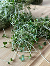 Broccoli Sprouts by Montreal Microgreens, 80g
