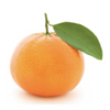 Mandarine - Organic, 1