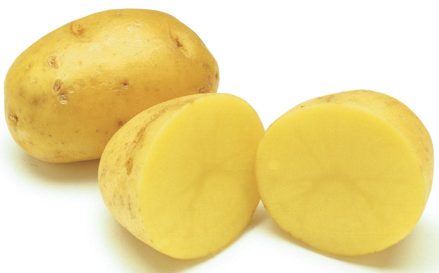Organic Yellow Potatoes 5 pounds by symbiosis