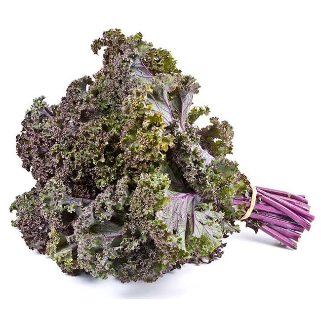 Organic Local Purple Kale, 1 bunch