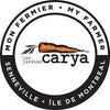 Fresh Market Carrots by Carya, 1