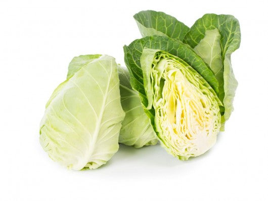 Organic Local Jersey Wakefield Pointed Cabbage by Carya
