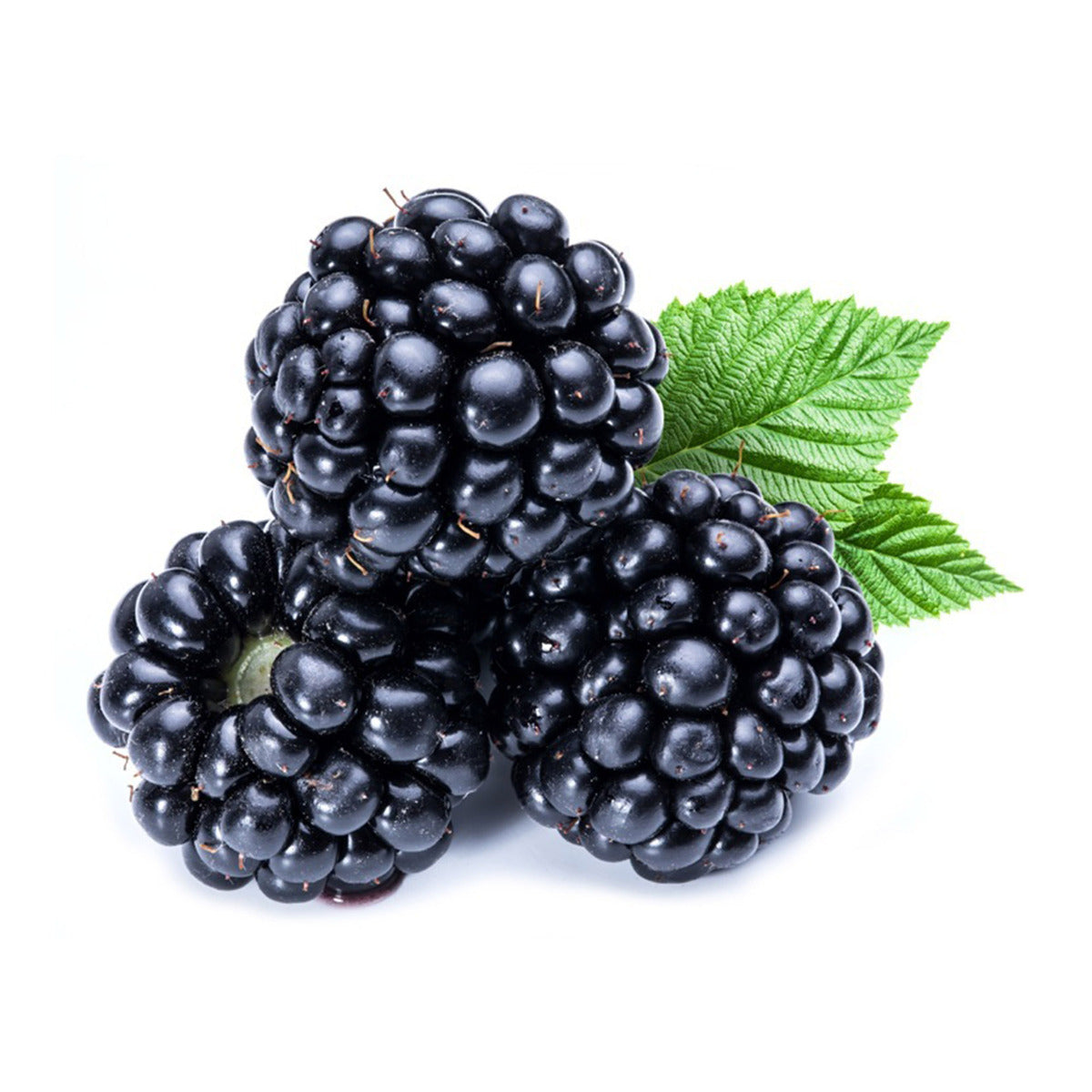 Organic Blackberries 170g by Driscoll