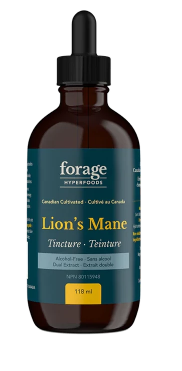 Wild Canadian Lion's Mane Tincture by Forage Hyperfoods, 118ml