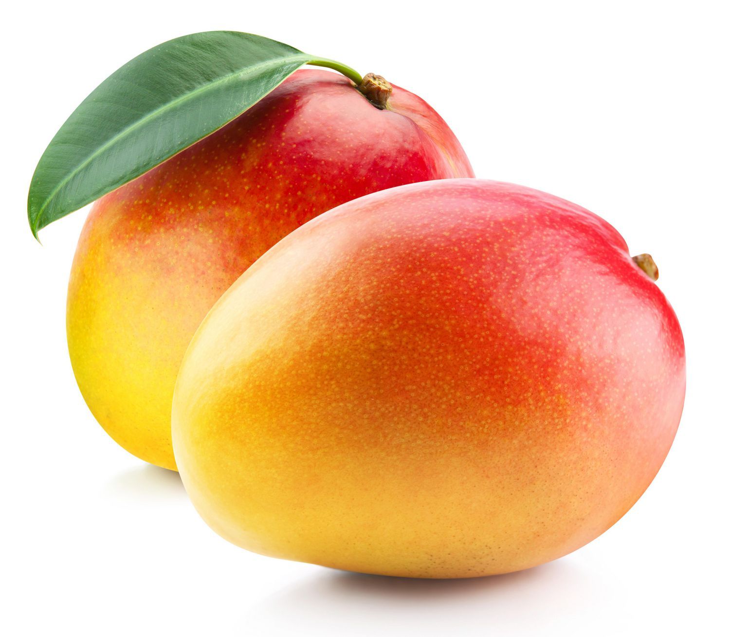 Mango - Organic, 1