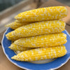 Corn on the Cob from Quebec, 1
