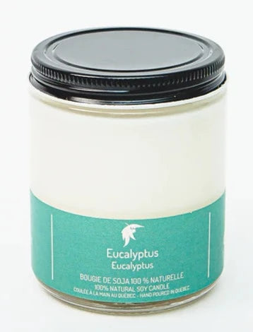 Bougie en cire de soja eucalyptus par Driftwood Naturals, 180 g