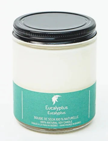 Eucalyptus Soy Wax Candle by Driftwood Naturals, 180g