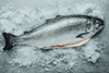 SUSHI GRADE Fresh BC Organic King Salmon