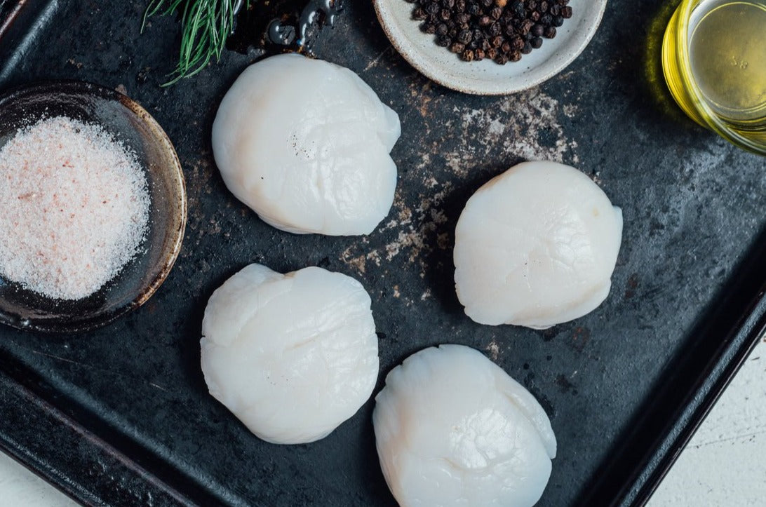 Pétoncles secs 10/20 surgelés par Oysterblood 454g