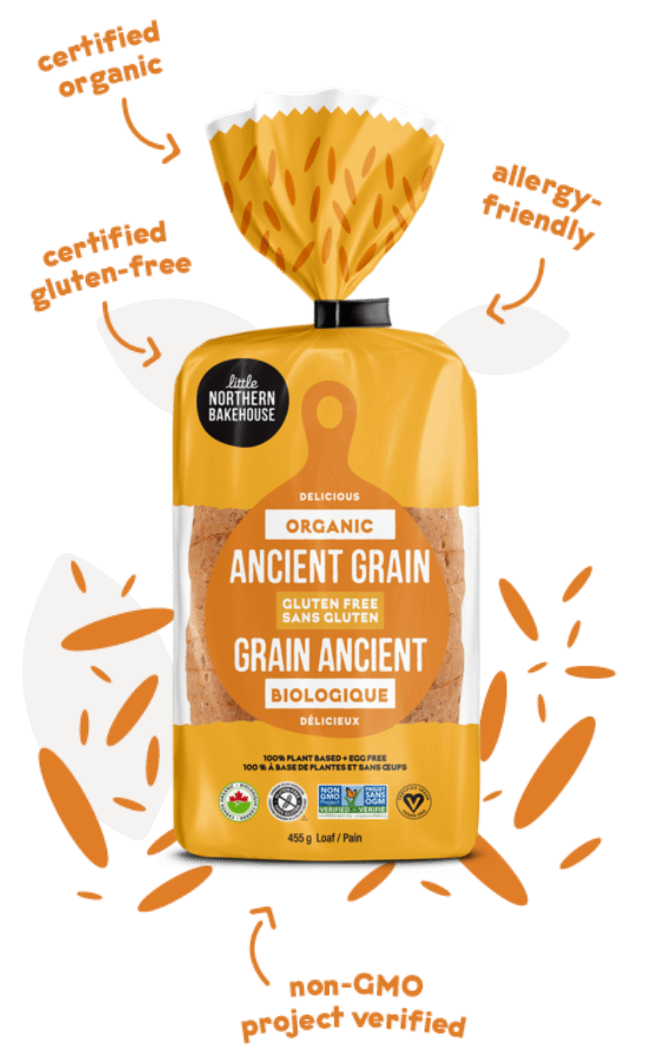 Organic Ancient Grain Gluten Free Bread by little northern bakehouse 455g
