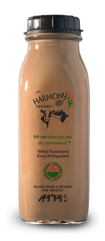 Organic Chocolate Milk 3.8% , Harmony Organic, 500ml