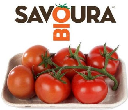 Tomates Saladio Savoura Bio 500g