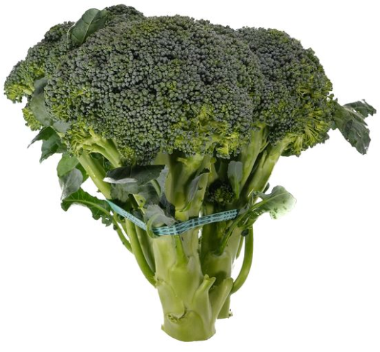 Brocoli biologique