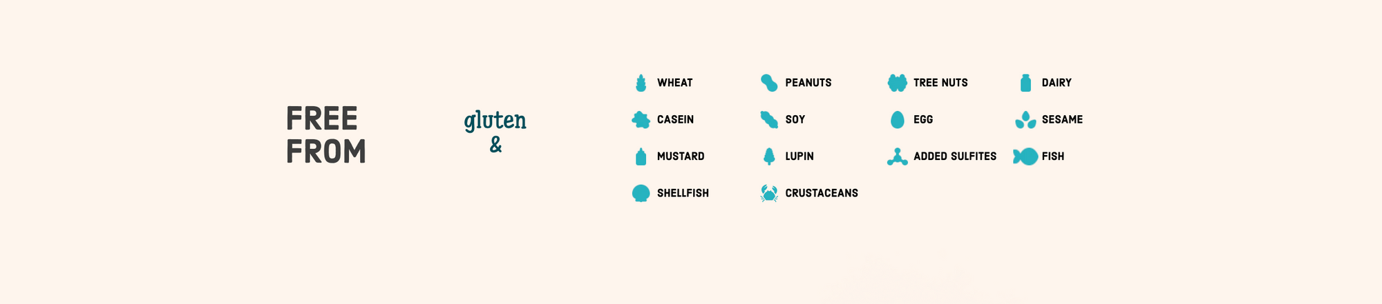 Morceaux de Chocolat Noir par Enjoy Life 255g 