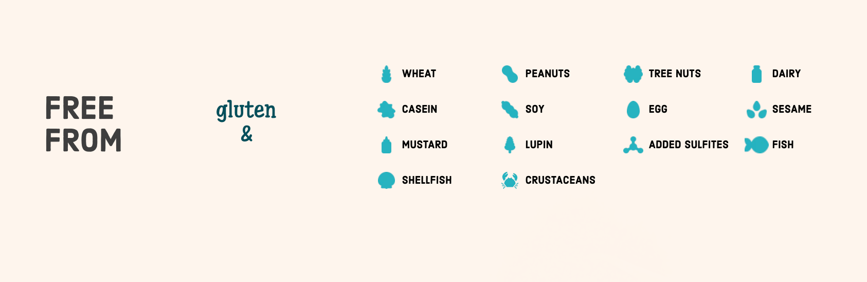 Mini pépites de chocolat blanc par Enjoy Life 255g 