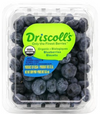 Organic Blueberries 170g
