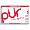 Sugar Free Cinnamon Gum by PÜR, 9 pieces