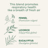Breathe Easy® Tea by Traditional Medicinals, 24g
