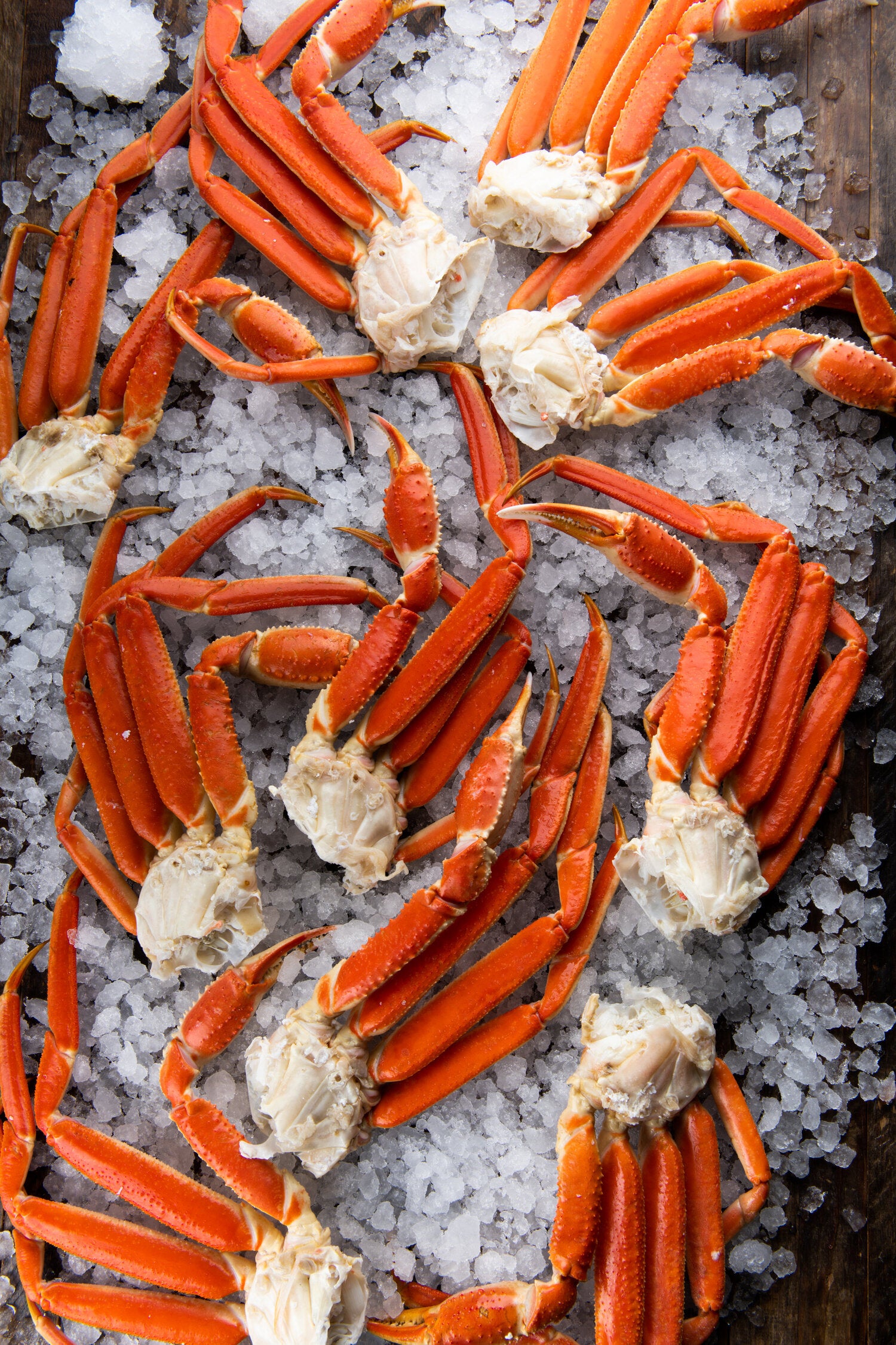 Snow Crab 2023 from Quebec