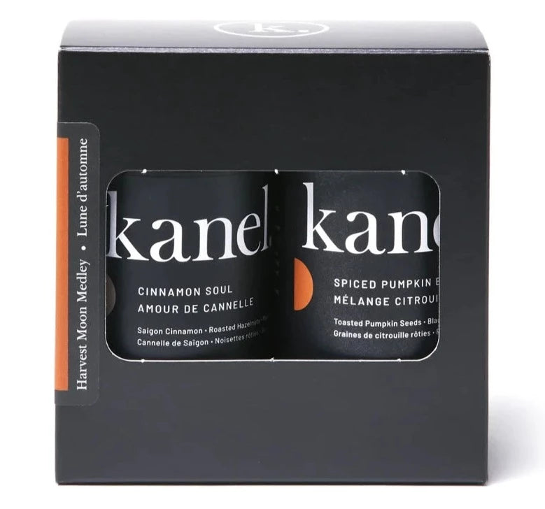 Harvest Moon Medley par Kanel