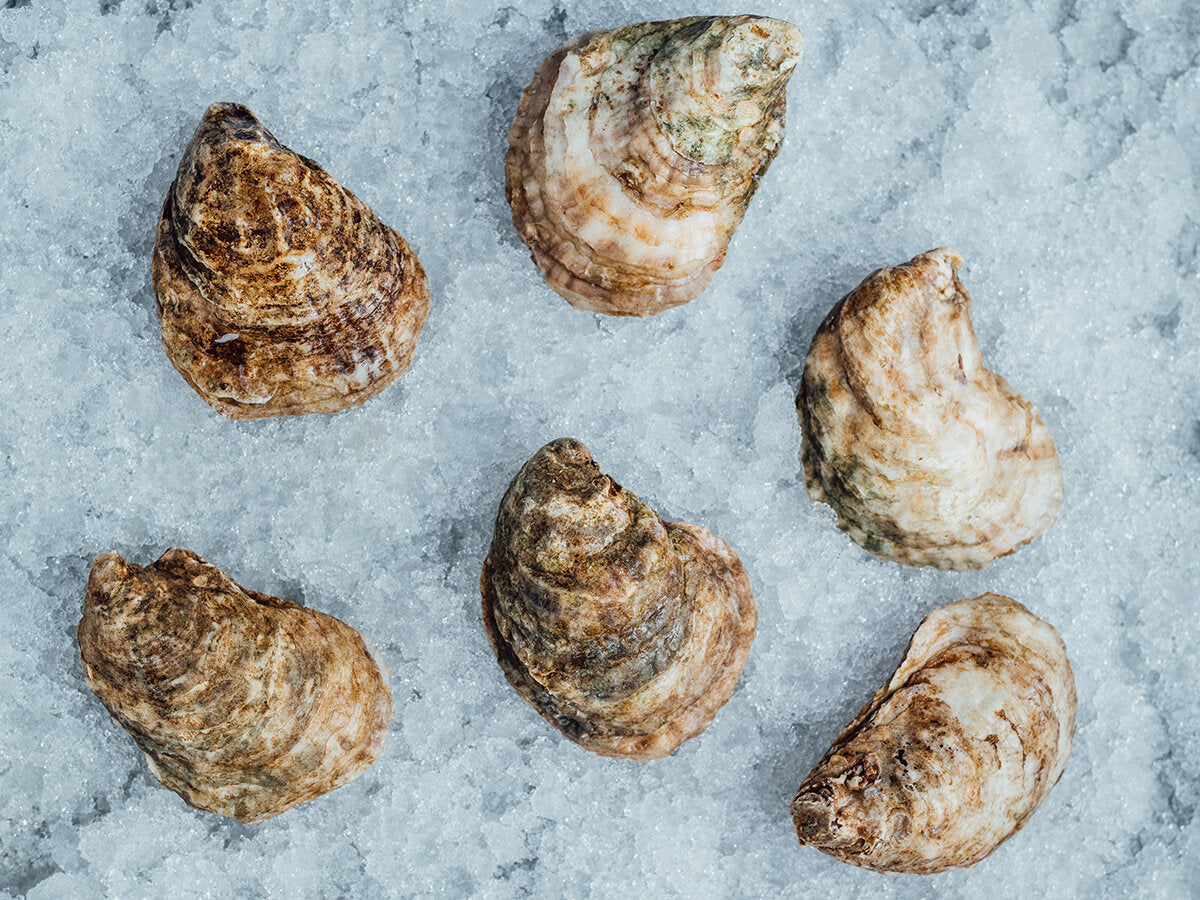 Huîtres de baie de groseille, 25