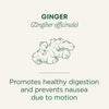 Thé au gingembre biologique de Traditional Medicinals, 24 g