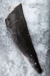 Wild Black BC Cod by Oysterblood 225g
