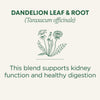 Organic Dandelion Leaf &amp; Root Tea by Traditional Medicinals, 28g