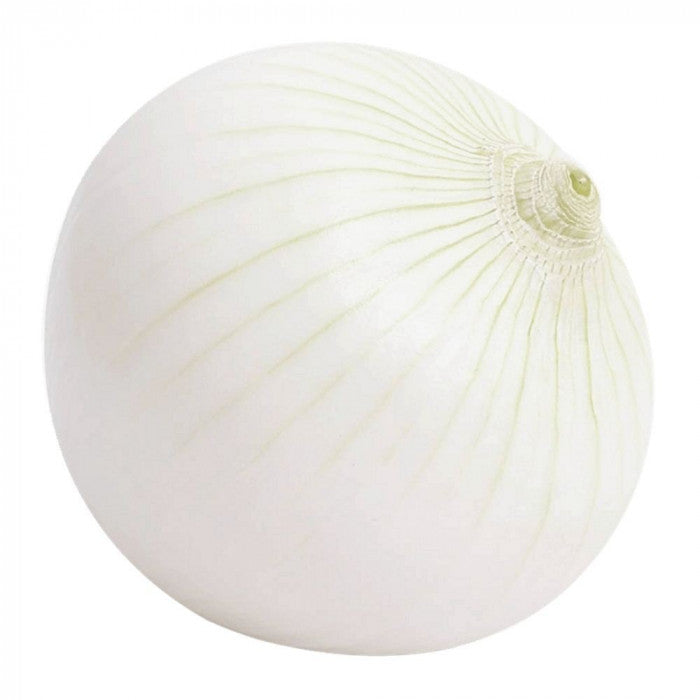 White onion bulk